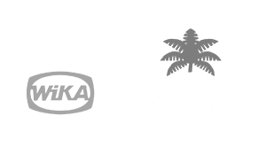 Wika Reality